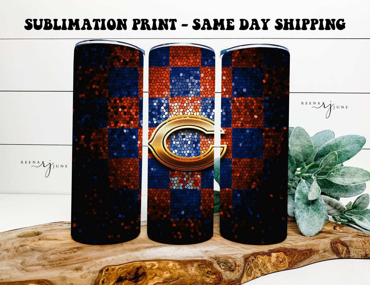 NFL Football Teams 20oz Skinny Tumbler Sublimation Print